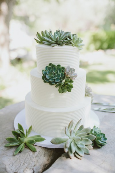 Classic Buttercream with Succulents