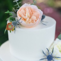 View More: http://jennysmithandco.pass.us/carolandpaul