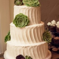 Succulents Wedding Cake