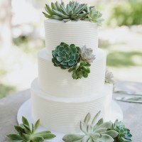 Classic Buttercream with Succulents